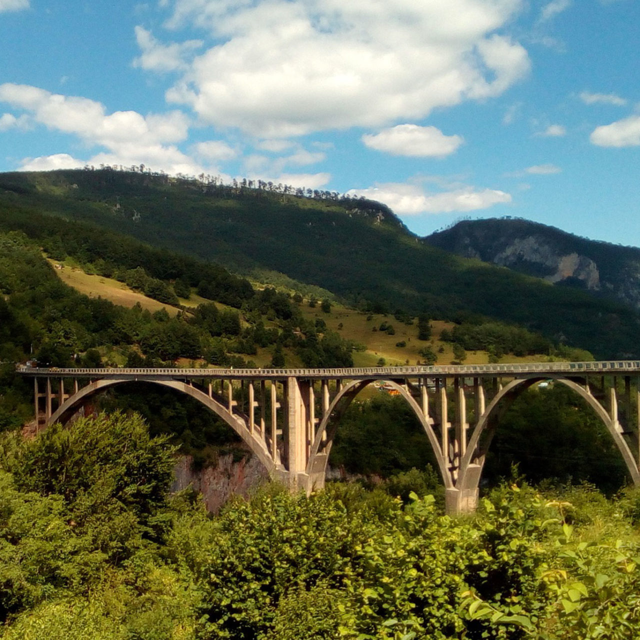 Tara - the mountain beauty