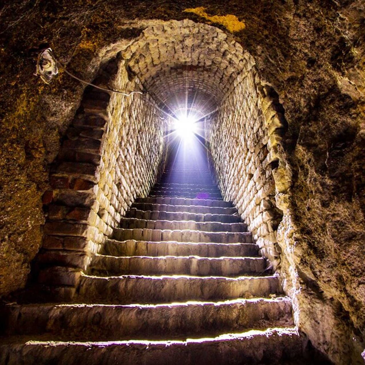 Underground secrets of Belgrade Tour